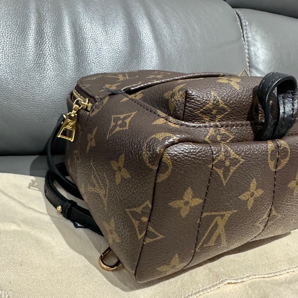 Louis Vuitton Palm Springs Mini - Picture 13 of 16